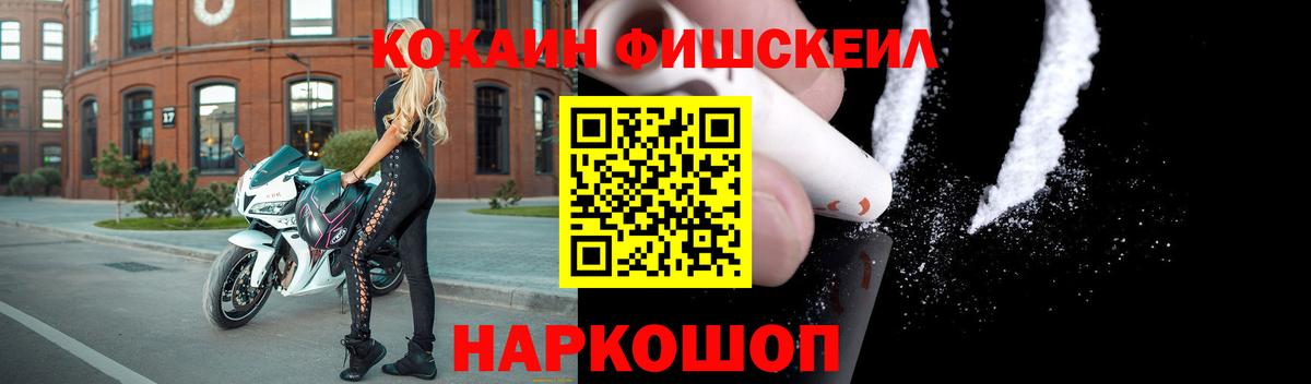 Елизово  Кокаин Fish Scale  цена наркотик  Вход с VPN  Cocaine 99% 