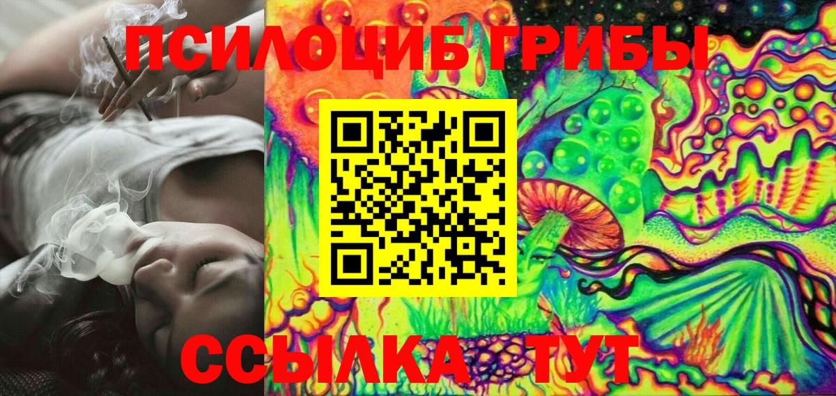 Псилоцибиновые грибы Psilocybe  Вход с VPN  Елизово 